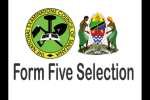 Selection Form Five Mbeya 2025/2026